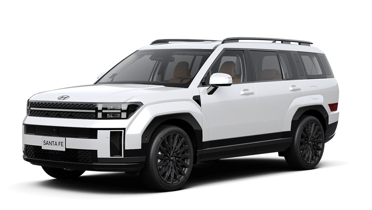 Hyundai Santafe Thái Bình